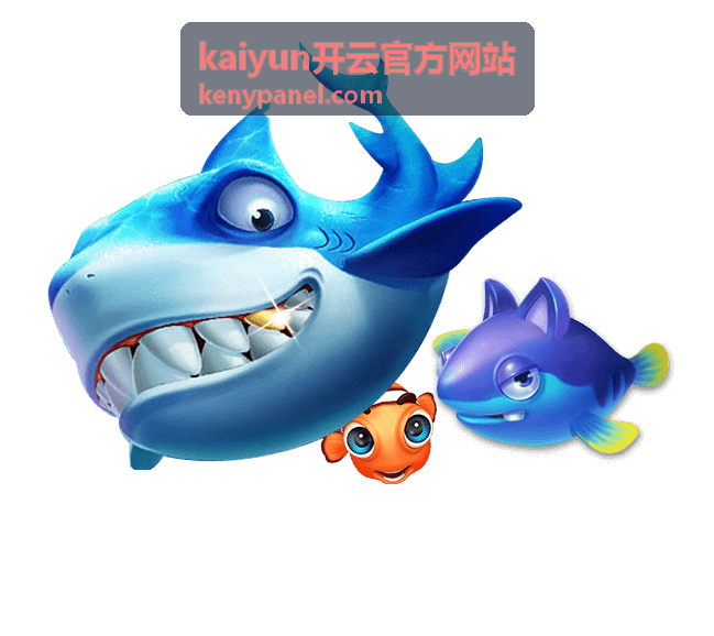kaiyun开云官方网站业务控制台运行界面演示