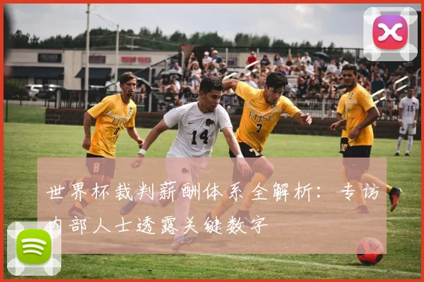 世界杯裁判薪酬体系全解析：专访内部人士透露关键数字