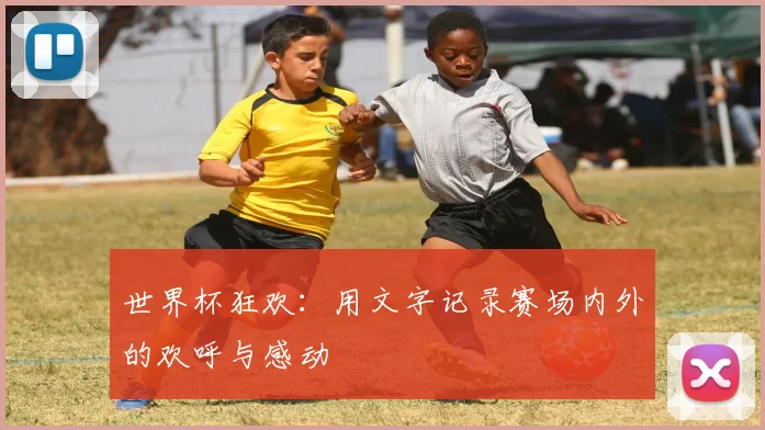 世界杯狂欢：用文字记录赛场内外的欢呼与感动