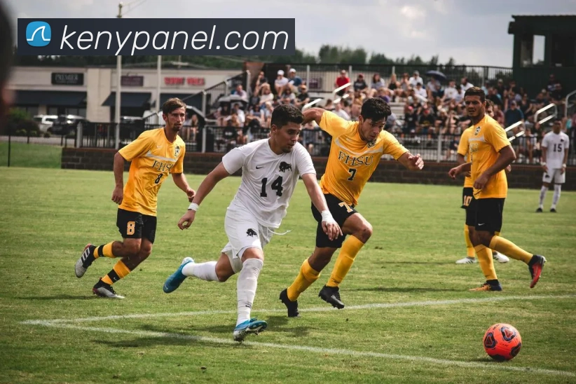 mksports官网登录入口发展历程